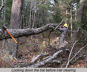 Looking down the trail before trail clearing